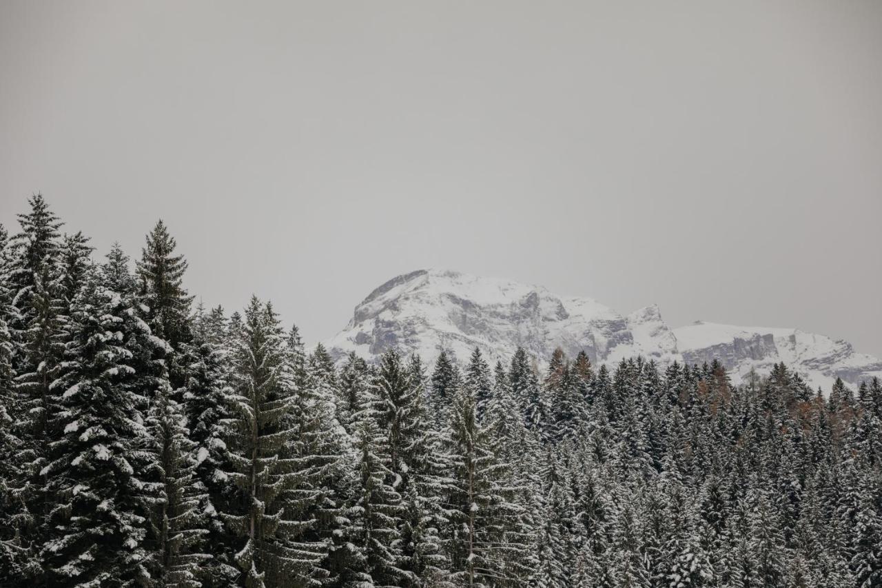 Hygna Chalets Reith im Alpbachtal Extérieur photo